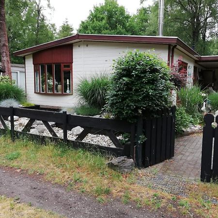 فيلا Diessenفي Sfeervol, Ruim En Luxe Chalet In Bosrijke Omgeving المظهر الخارجي الصورة