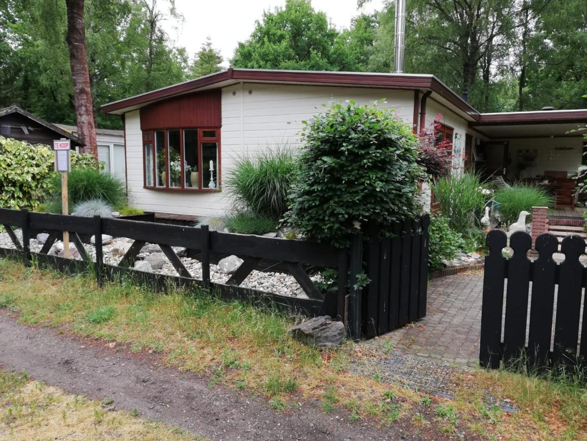فيلا Diessenفي Sfeervol, Ruim En Luxe Chalet In Bosrijke Omgeving المظهر الخارجي الصورة